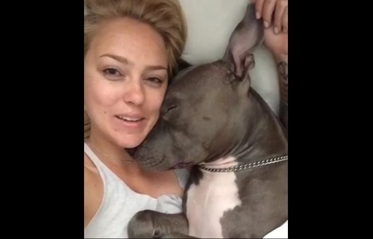 Sweet Pit Bull Gives Kisses After Waking Up