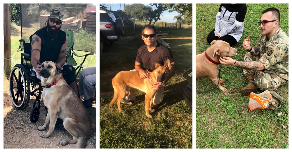 Texas Woman Rescues Shelter Dogs To Become Service Animals For Vets Struggling With PTSD