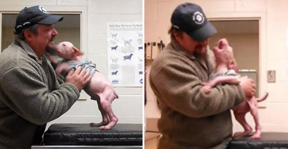 Guy Returns To Adopt The Dog He Rescued, And The Pup Couldn’t Be Happier