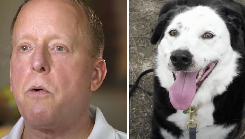 Man Was Told That He Had 5 Years To Live, So He Goes To A Shelter And Asks For An ‘Obese, Middle-Aged Dog’