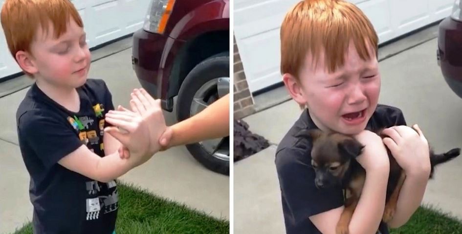 Boy Was Saving Up To Buy Puppy, Grandma Asks Him To Close His Eyes & Stretch His Arms