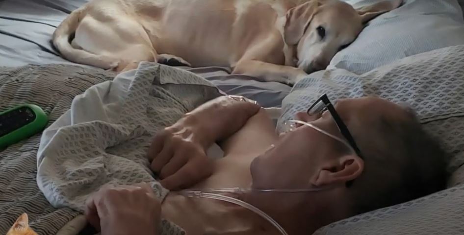 Heartfelt Story of Veteran and His Loyal Dog Passing Within Hours of Each Other