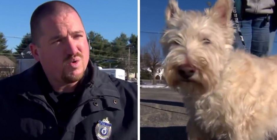 Tiny Dog Runs Up To Police Officer And Starts Barking Loudly, ‘Begged’ Cop To Follow Him