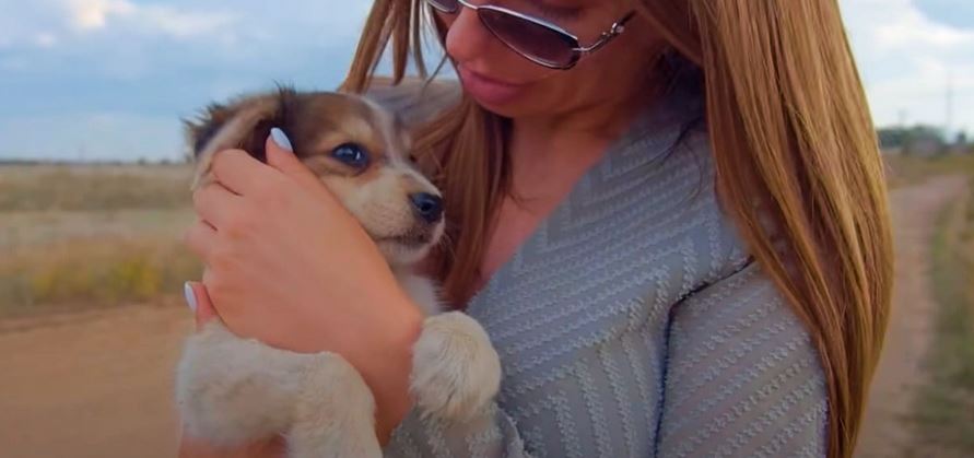 Dumped Puppy Grabs Woman And Asks To Go Home With Her