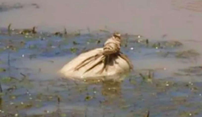 Kayakers Spotted Potato Sack Floating In River, Paddled Closer And Untied It