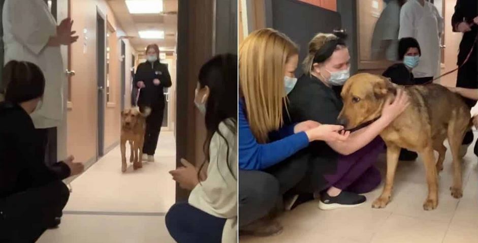 Shelter Dog Gives Goodbye Kisses To Every Staff Member On His Way Out